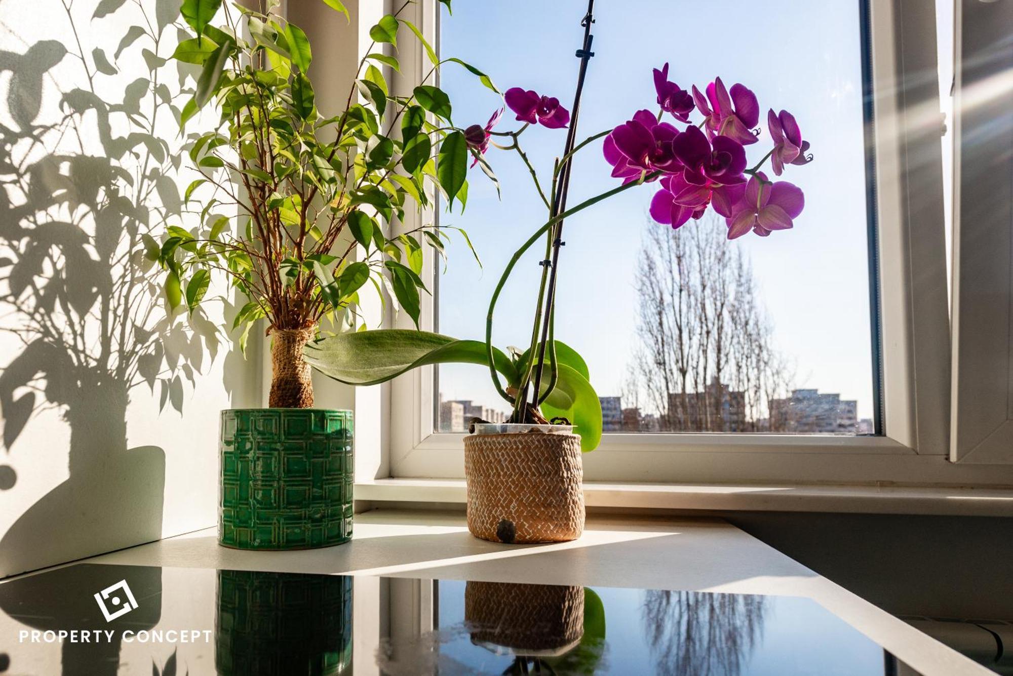 Blissful Retreat Apartment Bukarest Exterior foto